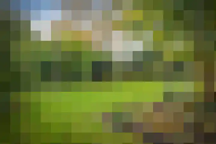 Brinklaan 32 Epe thumbnail 49