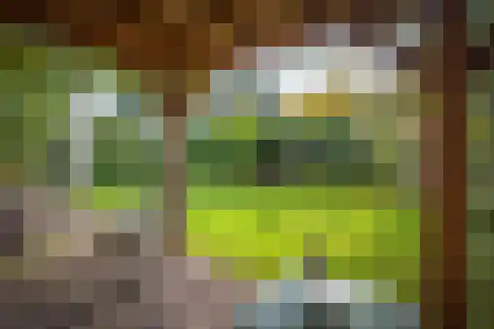 Brinklaan 32 Epe thumbnail 51