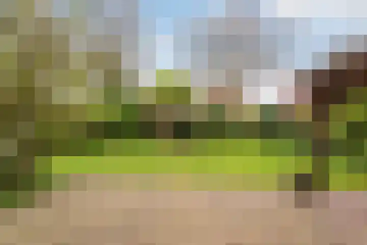 Brinklaan 32 Epe thumbnail 6