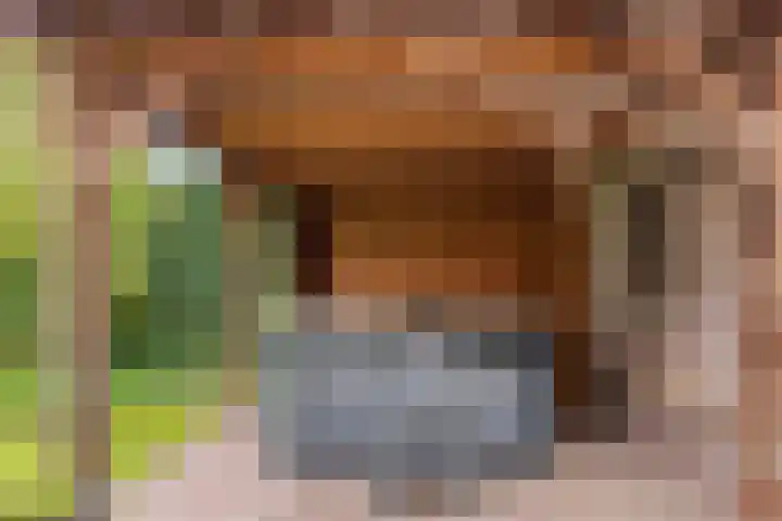 Brinklaan 32 Epe thumbnail 7