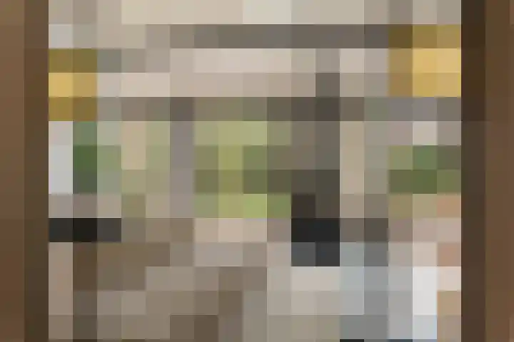 Brinklaan 32 Epe thumbnail 9