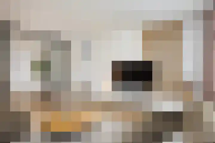 Brinklaan 76 Ruurlo thumbnail 16