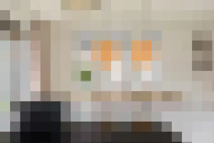 Brinklaan 76 Ruurlo thumbnail 24