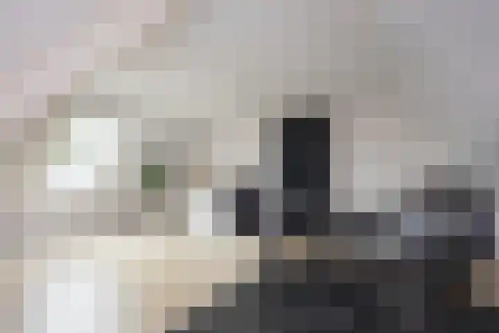 Brinklaan 76 Ruurlo thumbnail 39