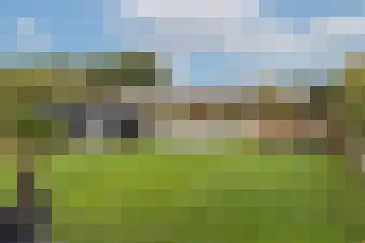 Brinklaan 76 Ruurlo thumbnail 46