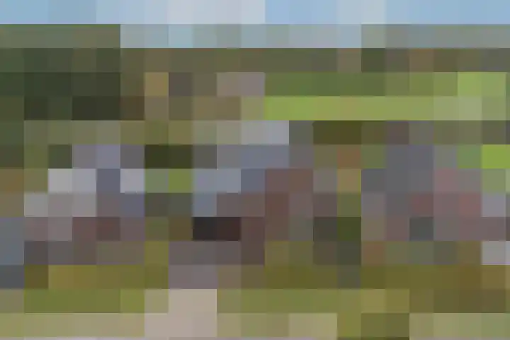 Brinklaan 76 Ruurlo thumbnail 48