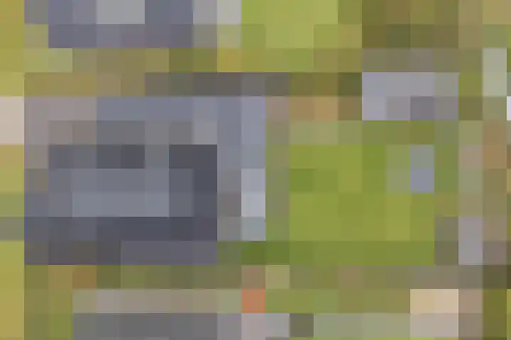 Brinklaan 76 Ruurlo thumbnail 49