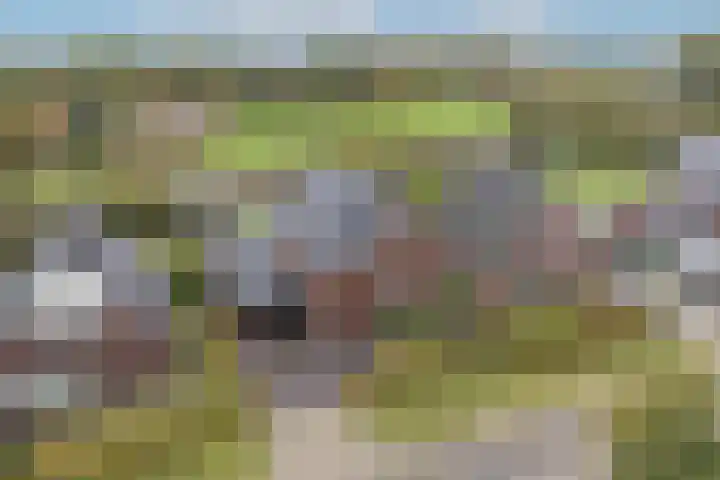 Brinklaan 76 Ruurlo thumbnail 50