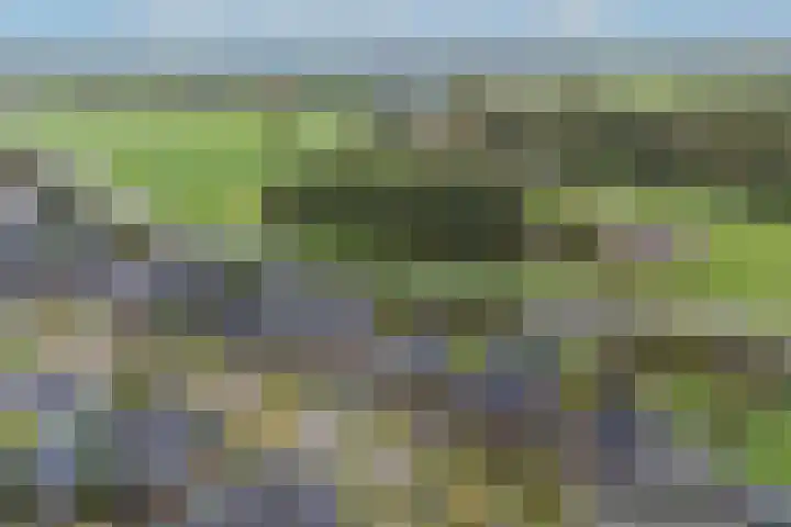 Brinklaan 76 Ruurlo thumbnail 51