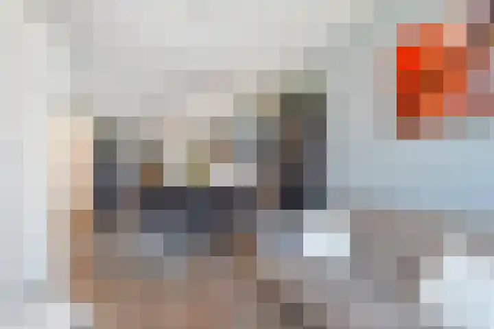 Brinklande 14 Pijnacker thumbnail 12