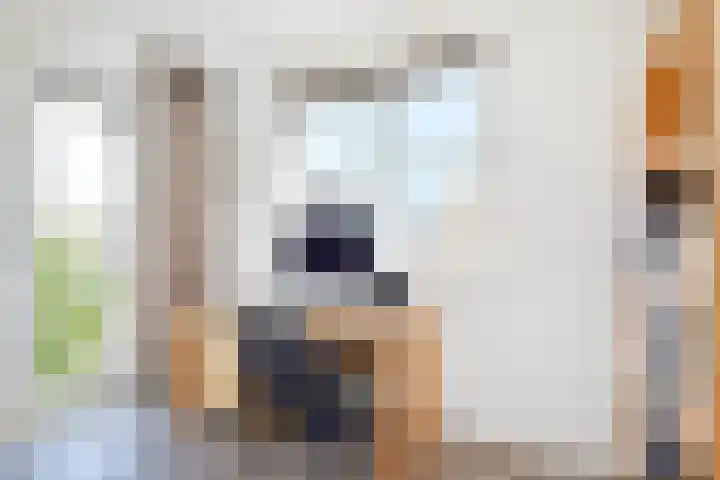 Brinklande 14 Pijnacker thumbnail 18