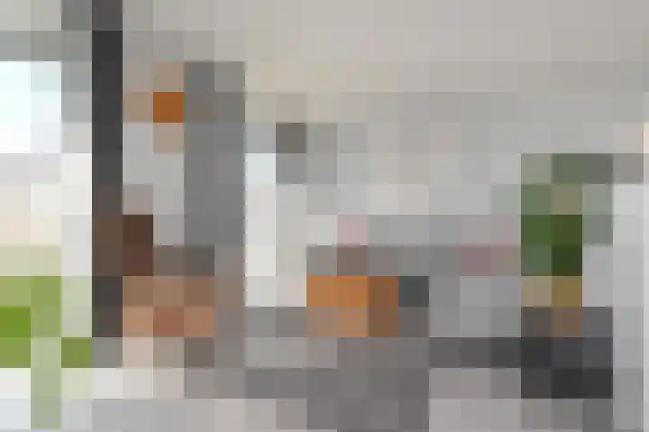 Brinklande 22 Pijnacker thumbnail 6