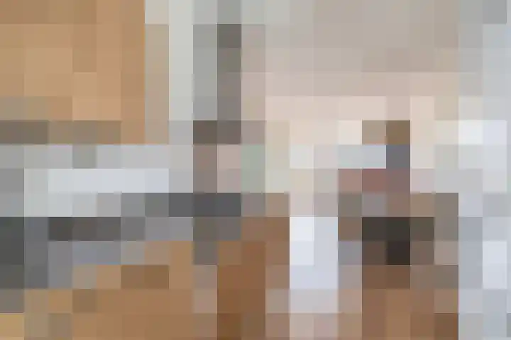 Brinklande 47 Pijnacker thumbnail 9