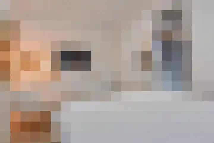 Brinkrijk 111 Pijnacker thumbnail 18