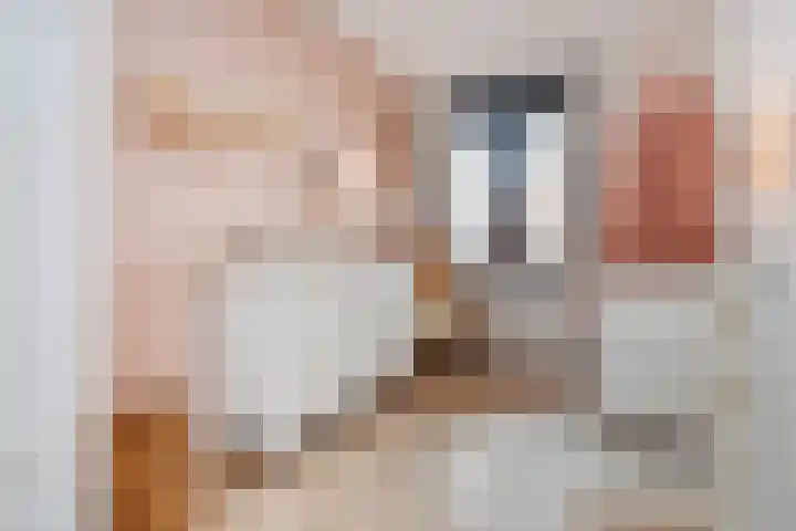 Brinkrijk 111 Pijnacker thumbnail 19