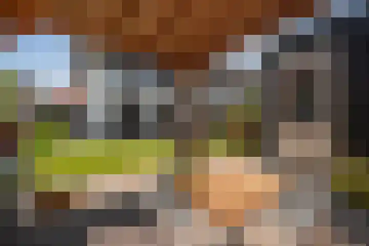 Brinkrijk 111 Pijnacker thumbnail 31
