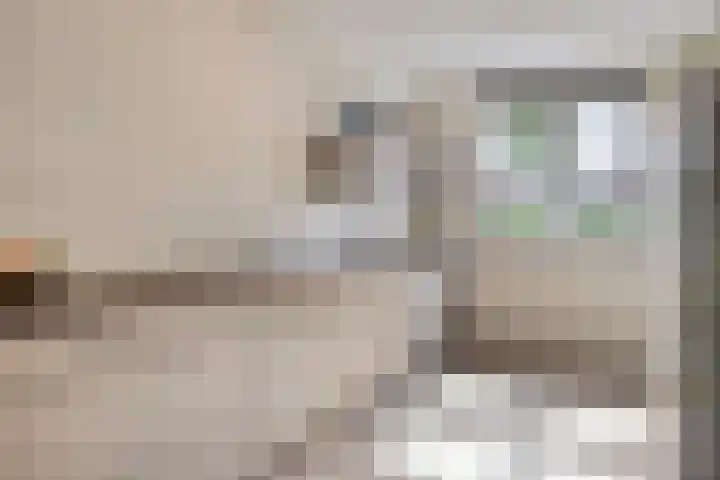 Brinkrijk 3 Pijnacker thumbnail 12