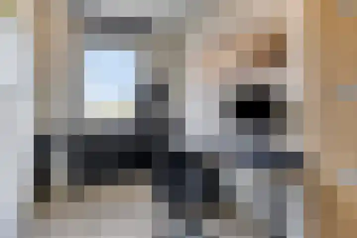 Brinkrijk 3 Pijnacker thumbnail 14