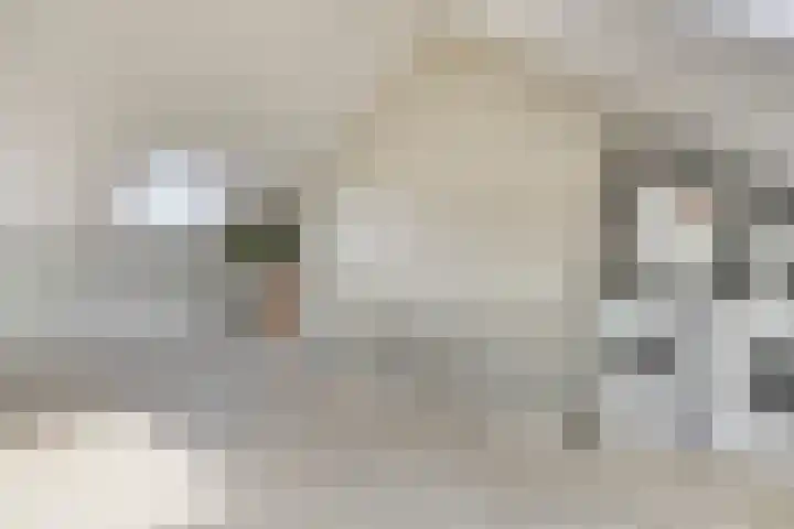 Brinkrijk 3 Pijnacker thumbnail 21