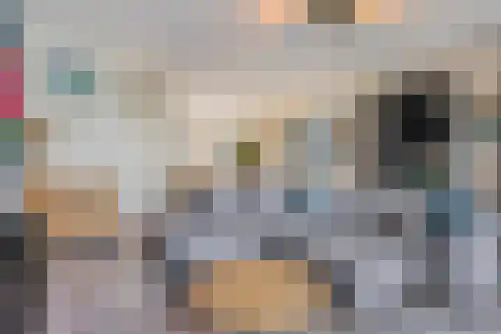 Brinkrijk 3 Pijnacker thumbnail 9