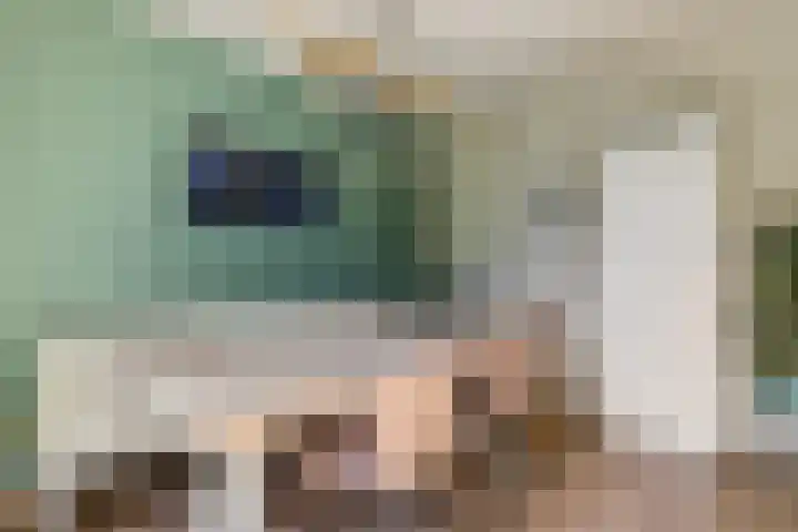 Brinkrijk 33 Pijnacker thumbnail 19