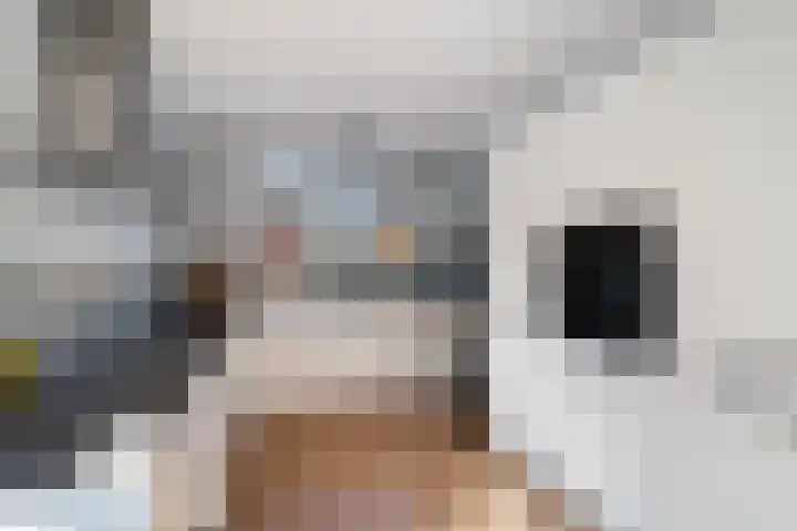 Brinkrijk 72 Pijnacker thumbnail 14