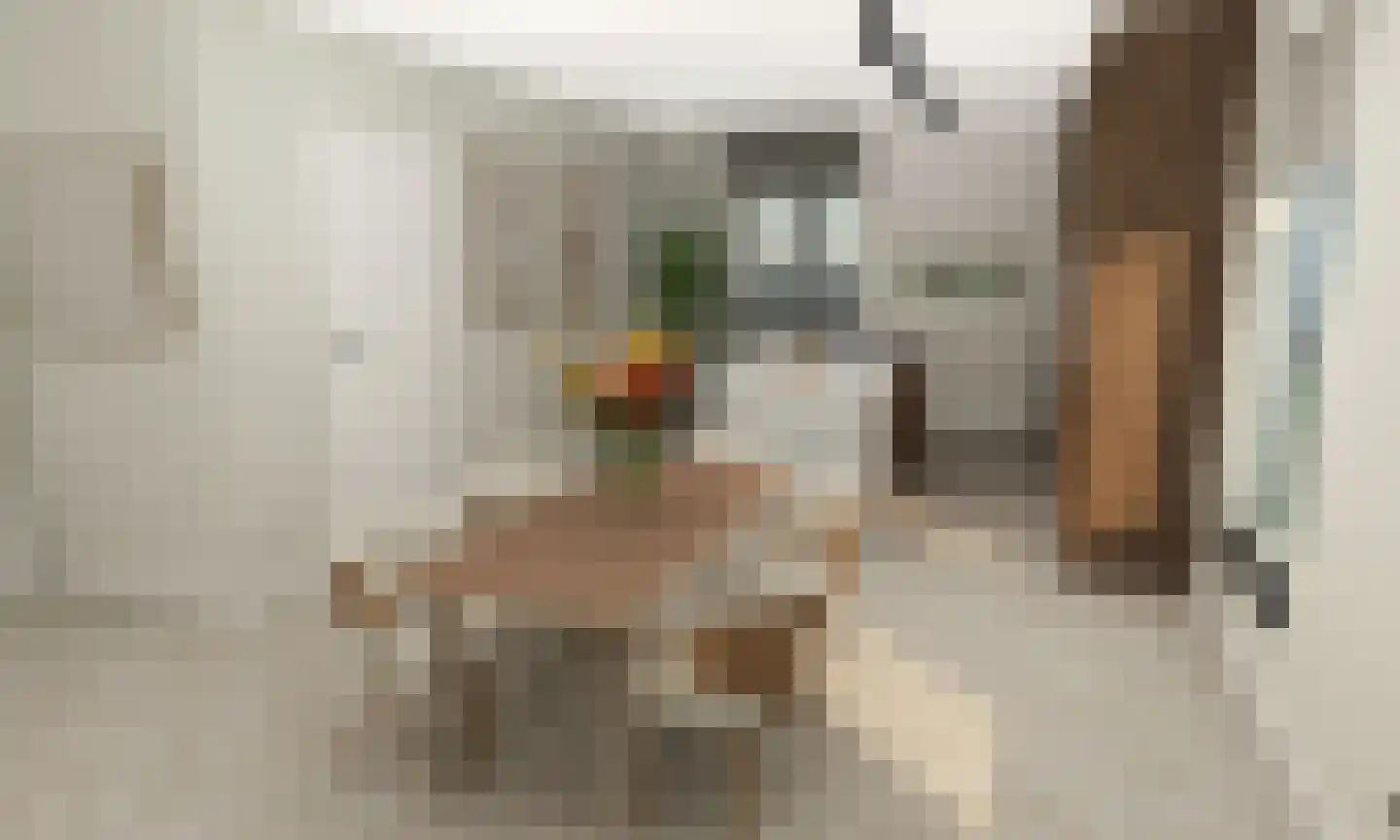 Brinkstraat 15 Vries thumbnail 5