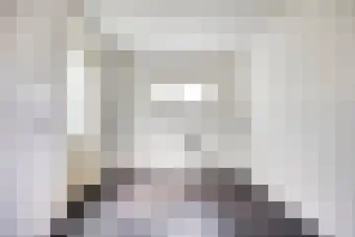 Brinkstraat 21 Diever thumbnail 14