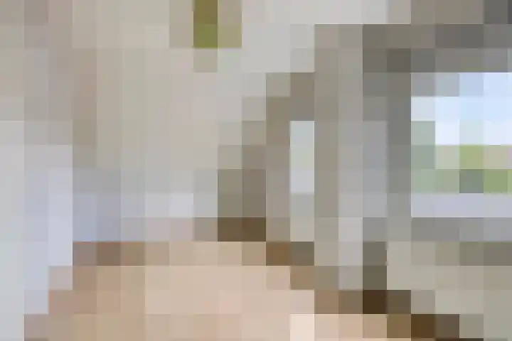 Brinkstraat 21 Diever thumbnail 22