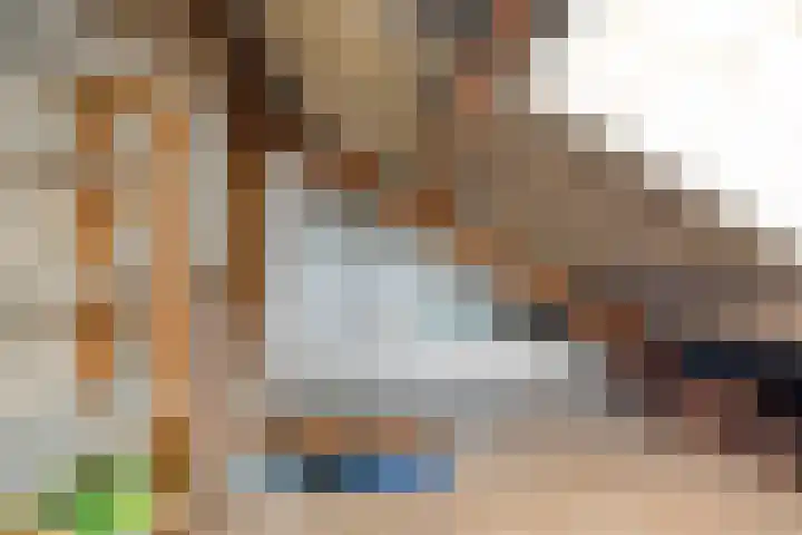 Brinkstraat 21 Diever thumbnail 27