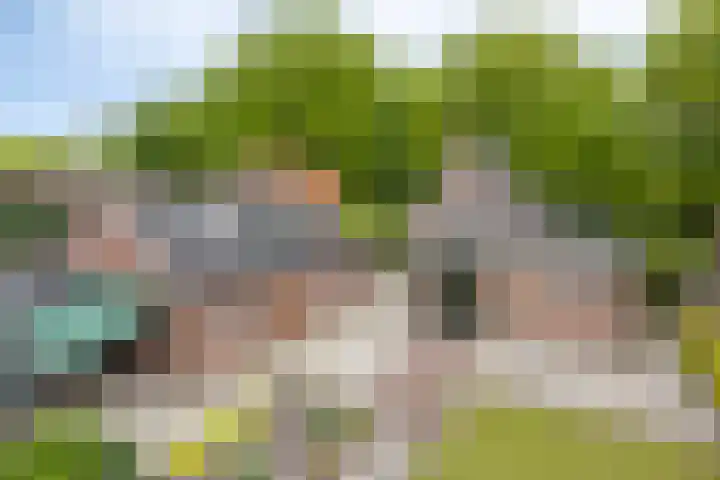 Brinkstraat 21 Diever thumbnail 29