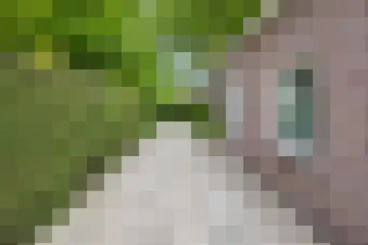 Brinkstraat 21 Diever thumbnail 31