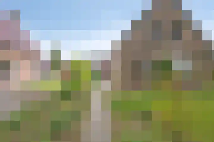 Brinkstraat 21 Diever thumbnail 34
