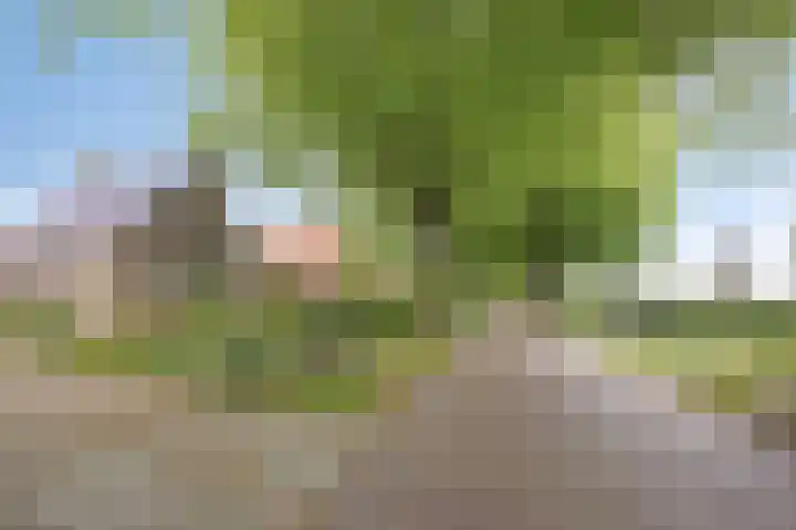 Brinkstraat 21 Diever thumbnail 35