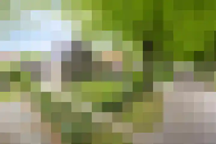 Brinkstraat 21 Diever thumbnail 4