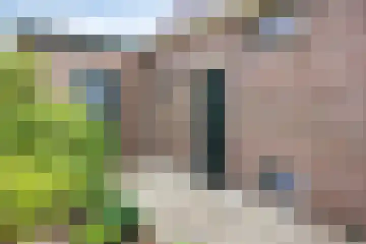 Brinkstraat 21 Diever thumbnail 5