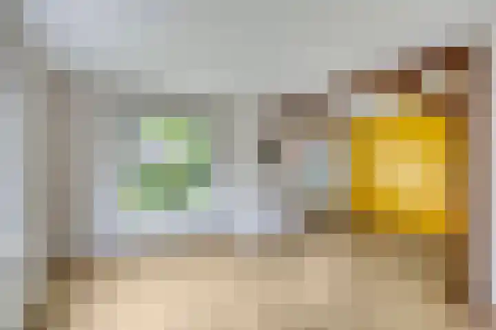 Brinkstraat 21 Diever thumbnail 6