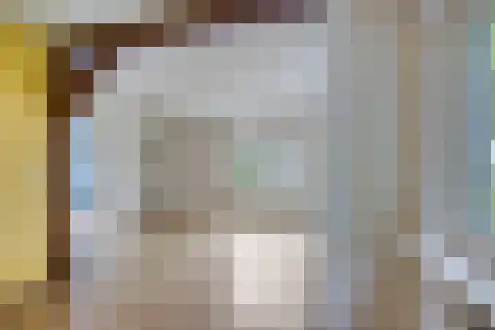 Brinkstraat 21 Diever thumbnail 8