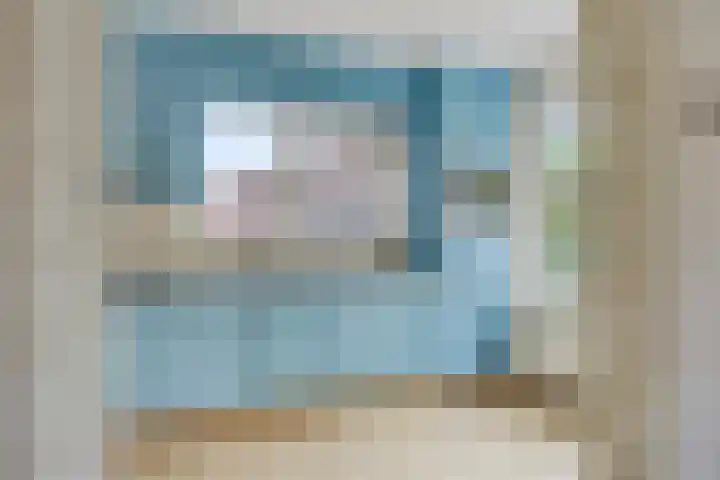 Brinkstraat 21 Diever thumbnail 9