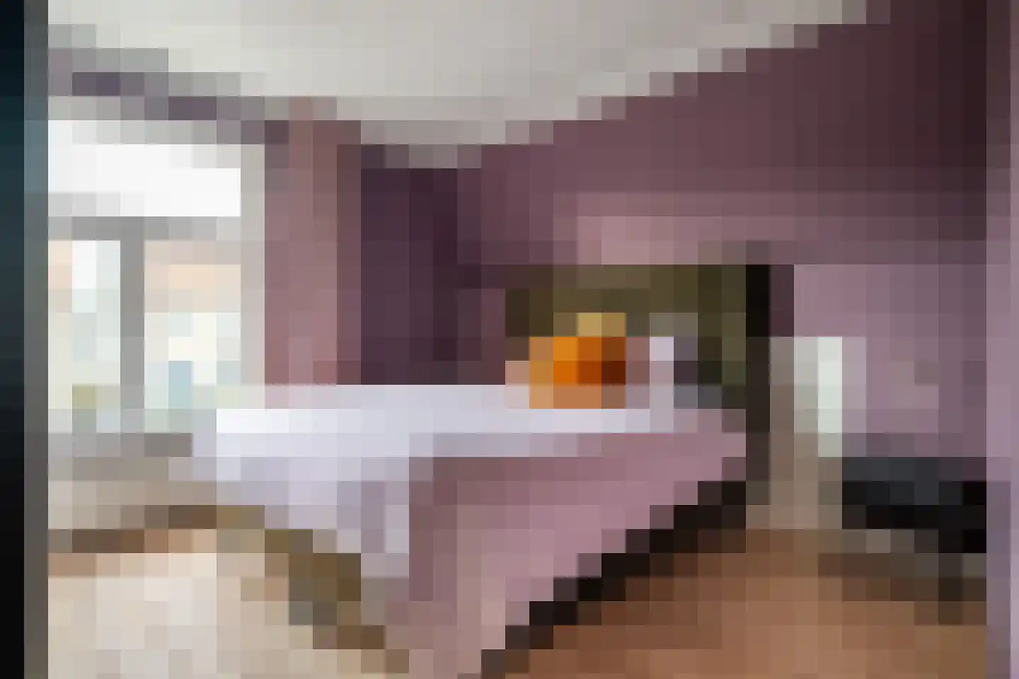 Brinkstraat 387 Enschede thumbnail 25