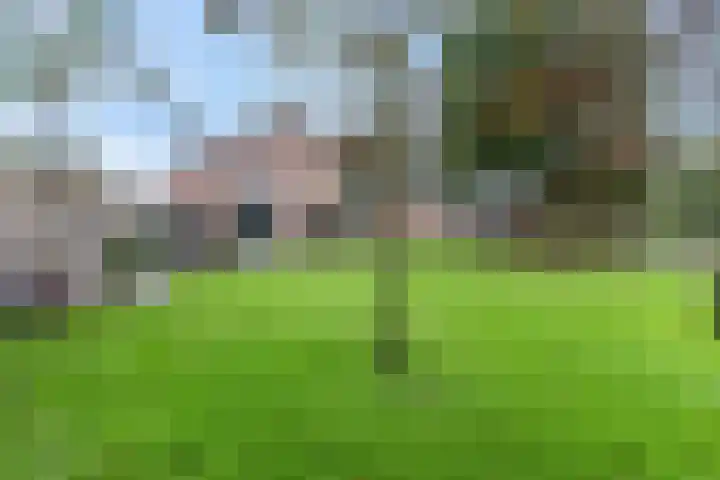 Brinkstraat 49 Putten thumbnail 42