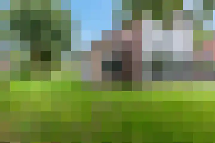 Brinkstraat 49 Putten thumbnail 45