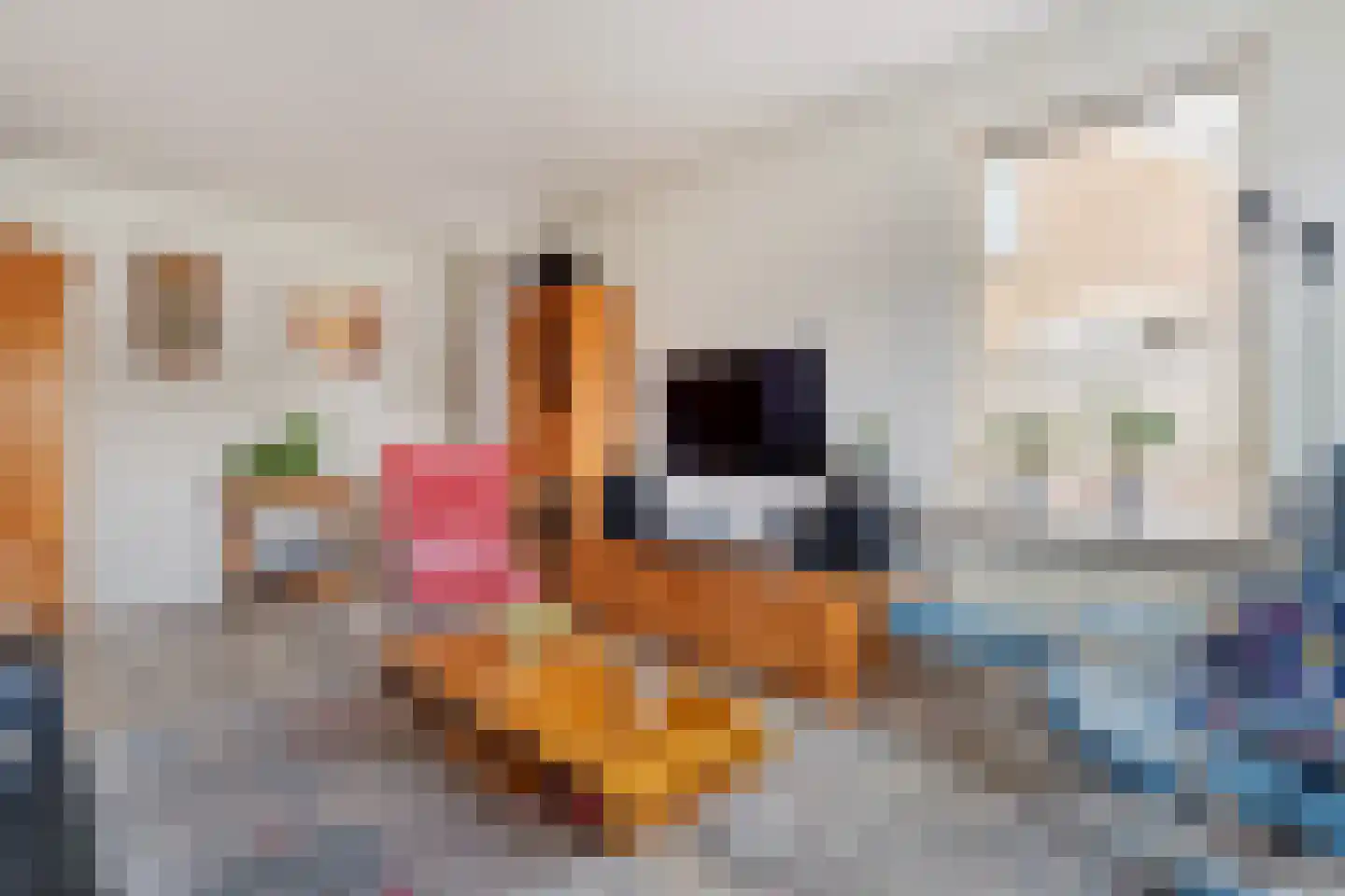 Brinkweg 10 Dalen thumbnail 15