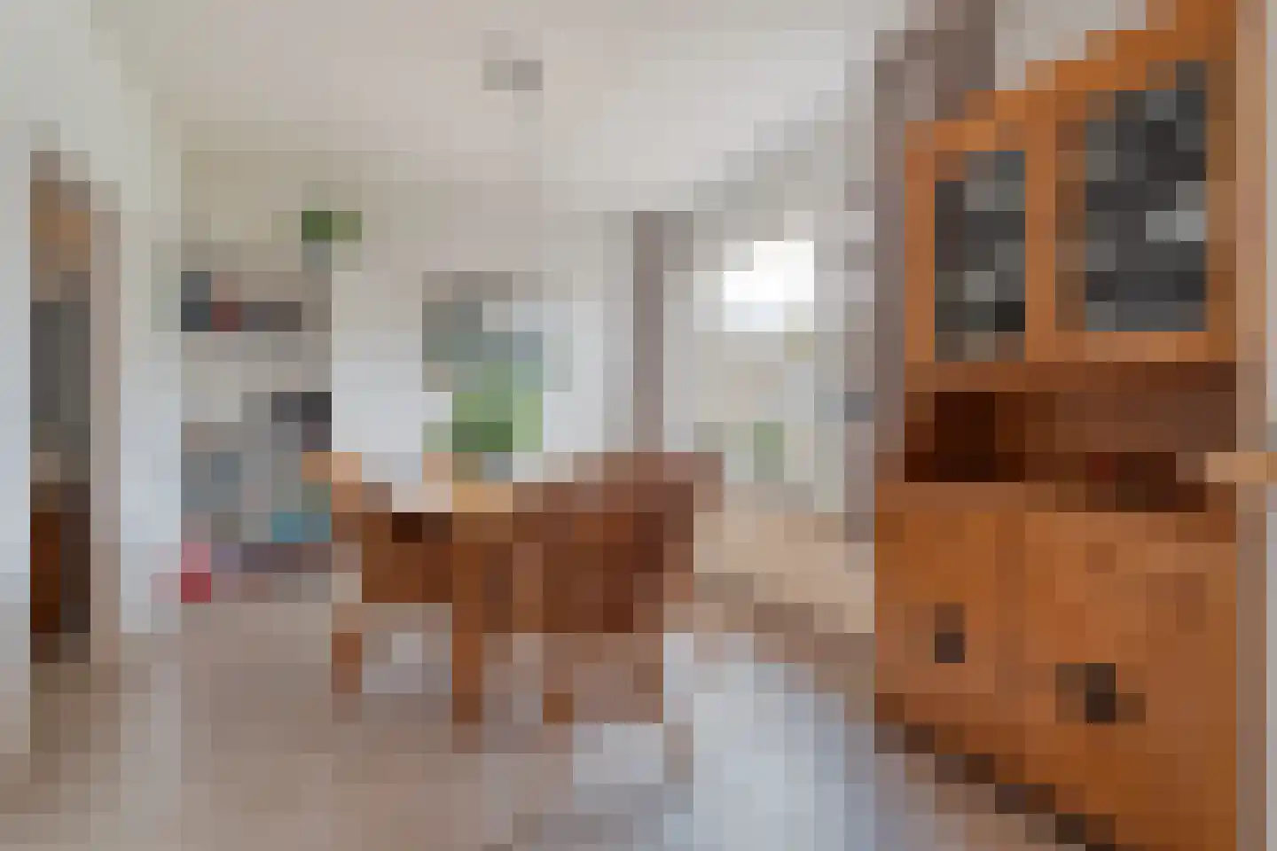 Brinkweg 10 Dalen thumbnail 18