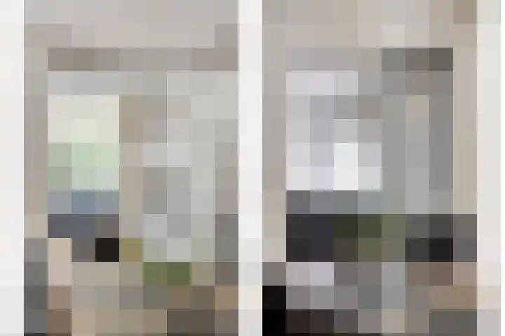 Brinkweg 10 Dalen thumbnail 22
