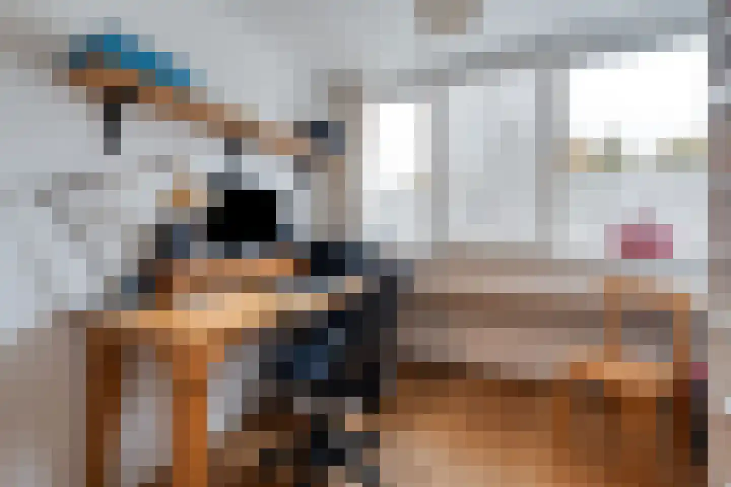 Brinkweg 10 Dalen thumbnail 34