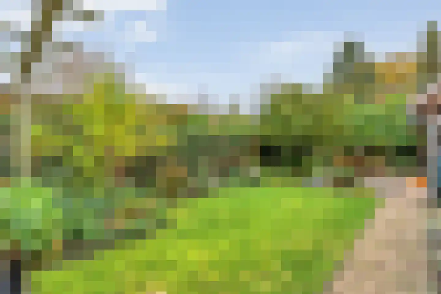 Brinkweg 10 Dalen thumbnail 43