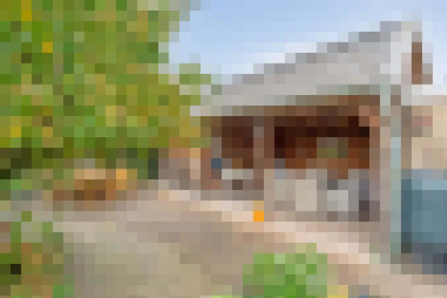 Brinkweg 10 Dalen thumbnail 45