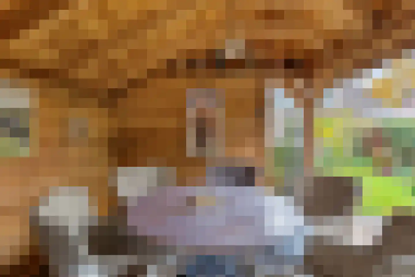Brinkweg 10 Dalen thumbnail 47