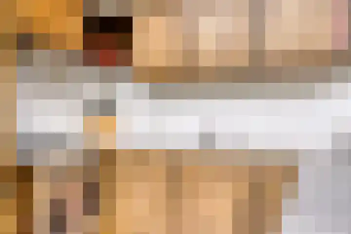 Brittendreef 8 Tilburg thumbnail 14